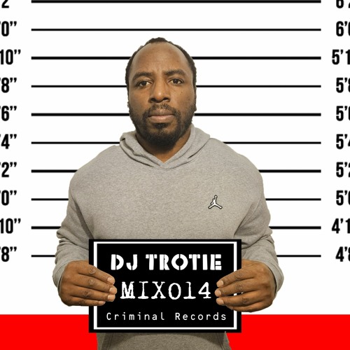 The Usual Suspects Mix014 DJ Trotie