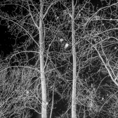 Aynjels Plastic Club - A Dark Spotlight w/ Aynjel: 7th October '25