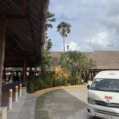 aruba