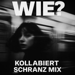 AYLIVA - WIE? (KOLLABIERT SCHRANZ MIX) FREE DOWNLOAD