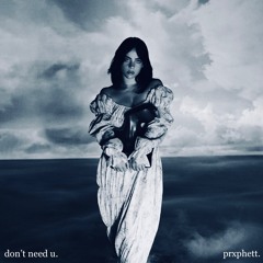 prxphett☆ - dont need u [p. karma]