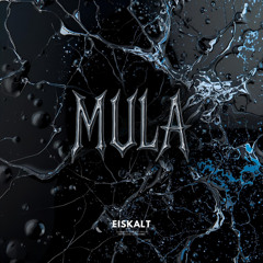 EISKALT-TAPE 010 by MULA