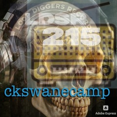 LDSR 215 - ckswanecamp 2
