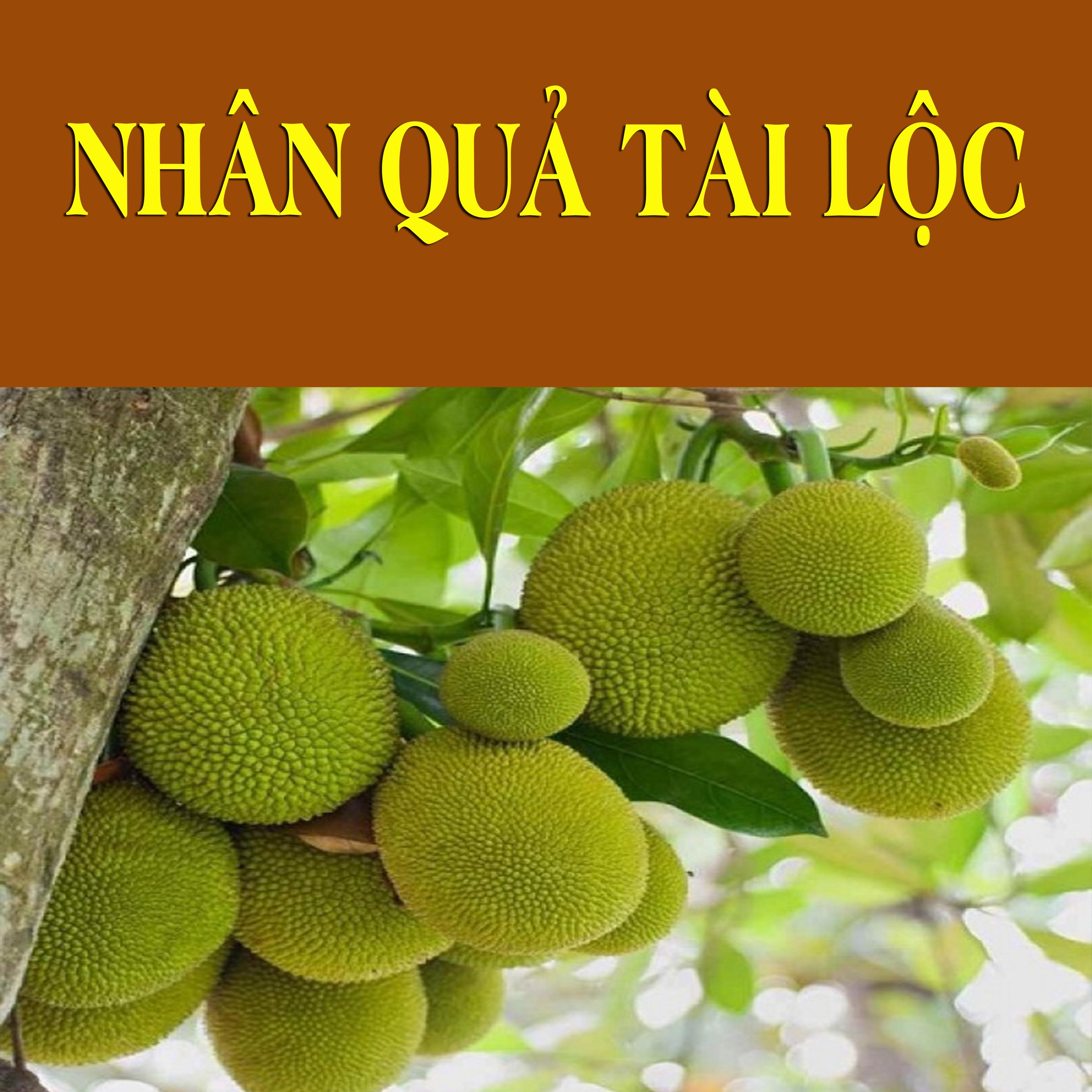 Thích Bảo Nguyên