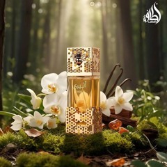 Ký ức đầu hạ.mp3