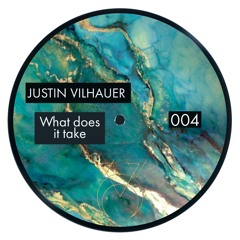 What Does It Take - Justin Vilhauer