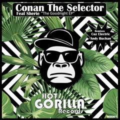Beatport Best New Nu Disco / Disco