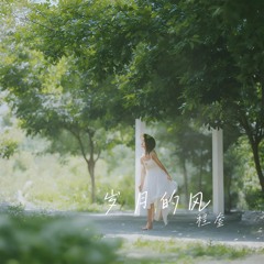 岁月的风