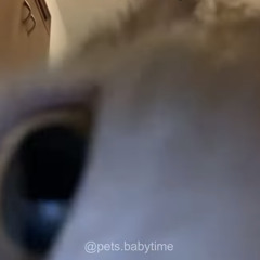 BRING IT