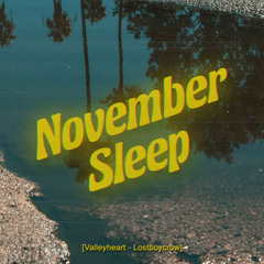 November Sleep