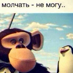 Не могу
