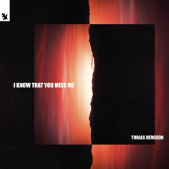 Tobias Bergson - I Know That You Miss Me