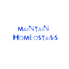 MAINTAIN HOMEOSTASIS (GOOSEKNUCKLE DISS)