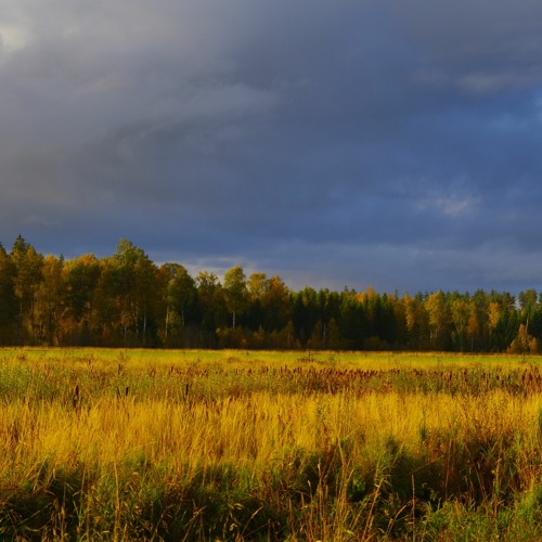 Ja, vi känner vårat livskontrakt - Hutter Inspiring Group