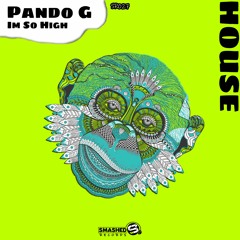 Pando G - Im So High (Original Mix)[SR027]