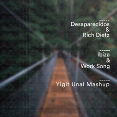 Desaparecidos & Rich Dietz - Ibiza & Work Song - Yigit Unal Mashup