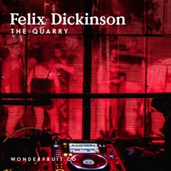 Felix Dickinson — The Quarry — Wonderfruit 2019