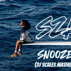 SZA SNOOZE❌Baby (DJ SCALES MASHUP)