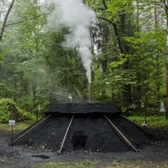 I WILL NOT DIE SOBER