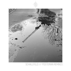 Schallfeld - Posterian (Hendrik Omun Remix)