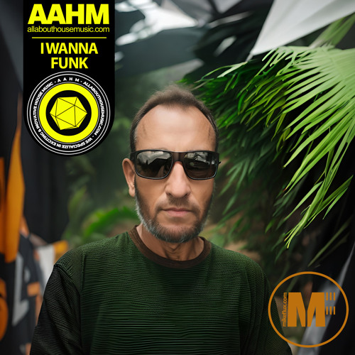 I Wanna Funk (Original Mix)