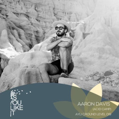 AYLI Ground Level 019 Aaron Davis