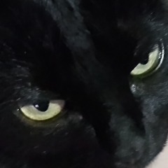 L4teNightFreestyleInGoth4m (prod. Asta Yurei x Eskay Osbourne)