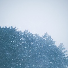 Snowflake
