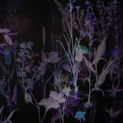 Njáhcu (feat. Turkka Inkilä & Ilkka Heinonen)