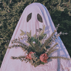 elvira - my valentine