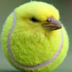 TROÇO TORTO - MCs VUK VUK , MTO QUERIDO , MENO SAAINT - ( DJ IURYZIN ORIGINAL )