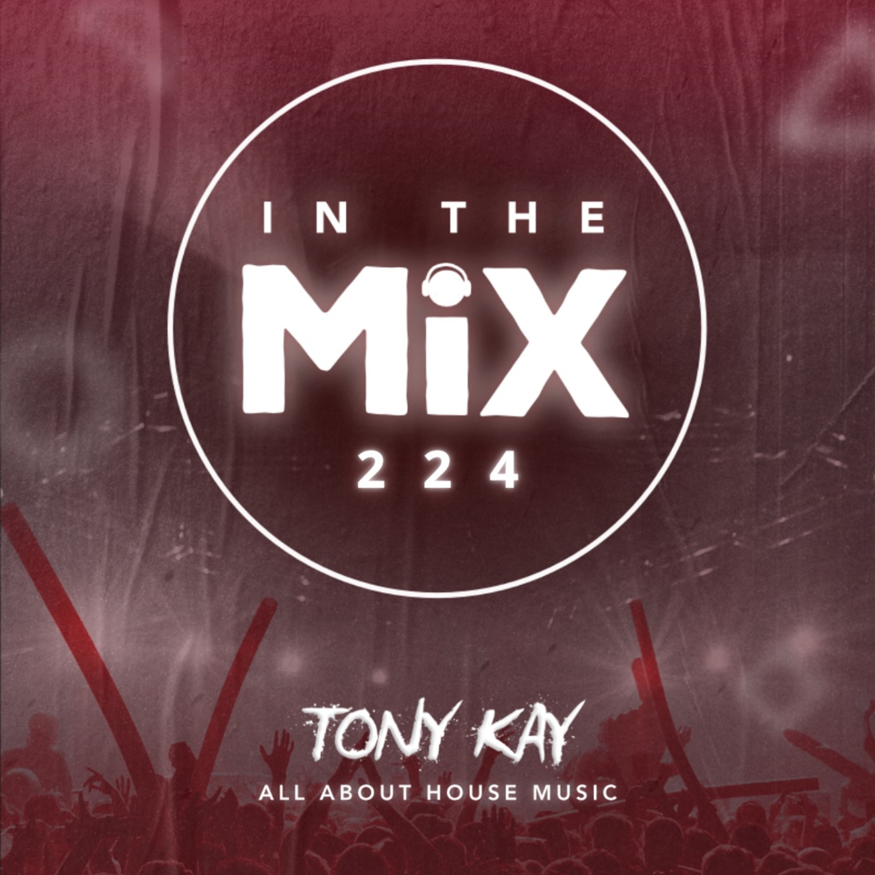 In The Mix 224 ✖ Tok About It Mix Series episode artwork
