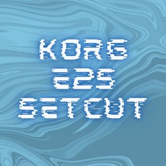 Korg E2S Setcut (First Try)