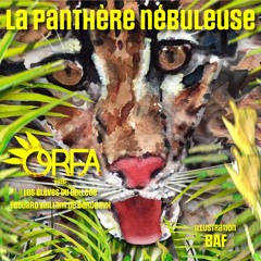 La Panthère Nébuleuse (en collaboration avec les élèves du Collège Édouard Vaillant de Bordeaux)