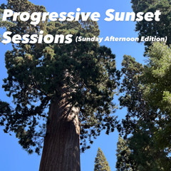 Progressive Sunset Sessions (Sunday Afternoon Edition) 7
