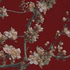 bloom [.ep]