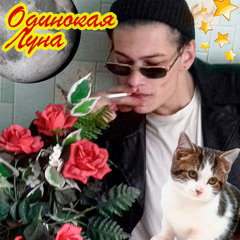 ЮГ 404 — одинокая луна