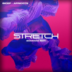 Bicep - Apricots (Stretch's Schranz Edit)