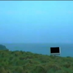 Downloading Consciousness