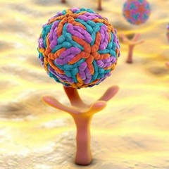 Gadi - Sigma 1(Preview)