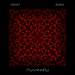 Indukt - Burns
