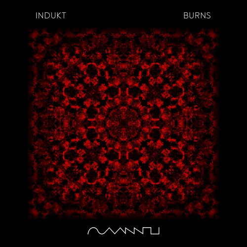 Indukt - Burns