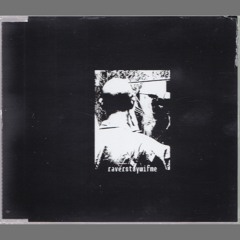 raverstaywifme - bootlicker (PLCT001)
