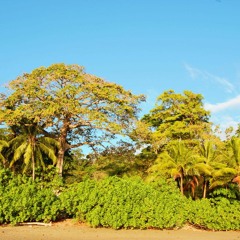 Schwalheim Sessions #11 Salsa, Cumbia y Chicha