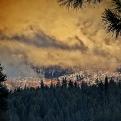 Patterns of Recognition