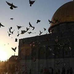 جاشتِ الأشواقُ وانزاحَ الكَرَى