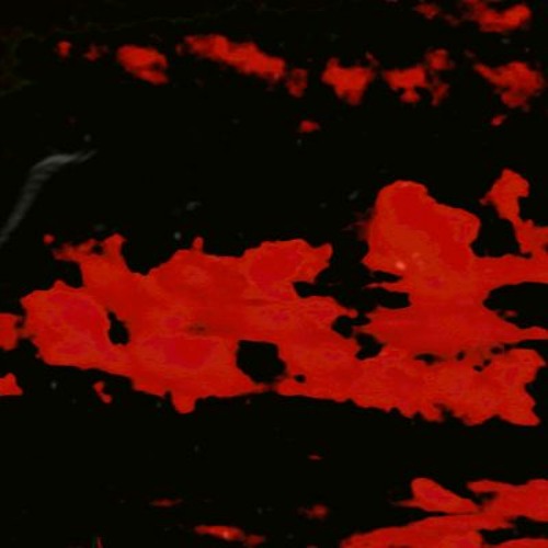 The Railbreak Project: Volume 41 feat. HAMRO(2K SPECIAL)