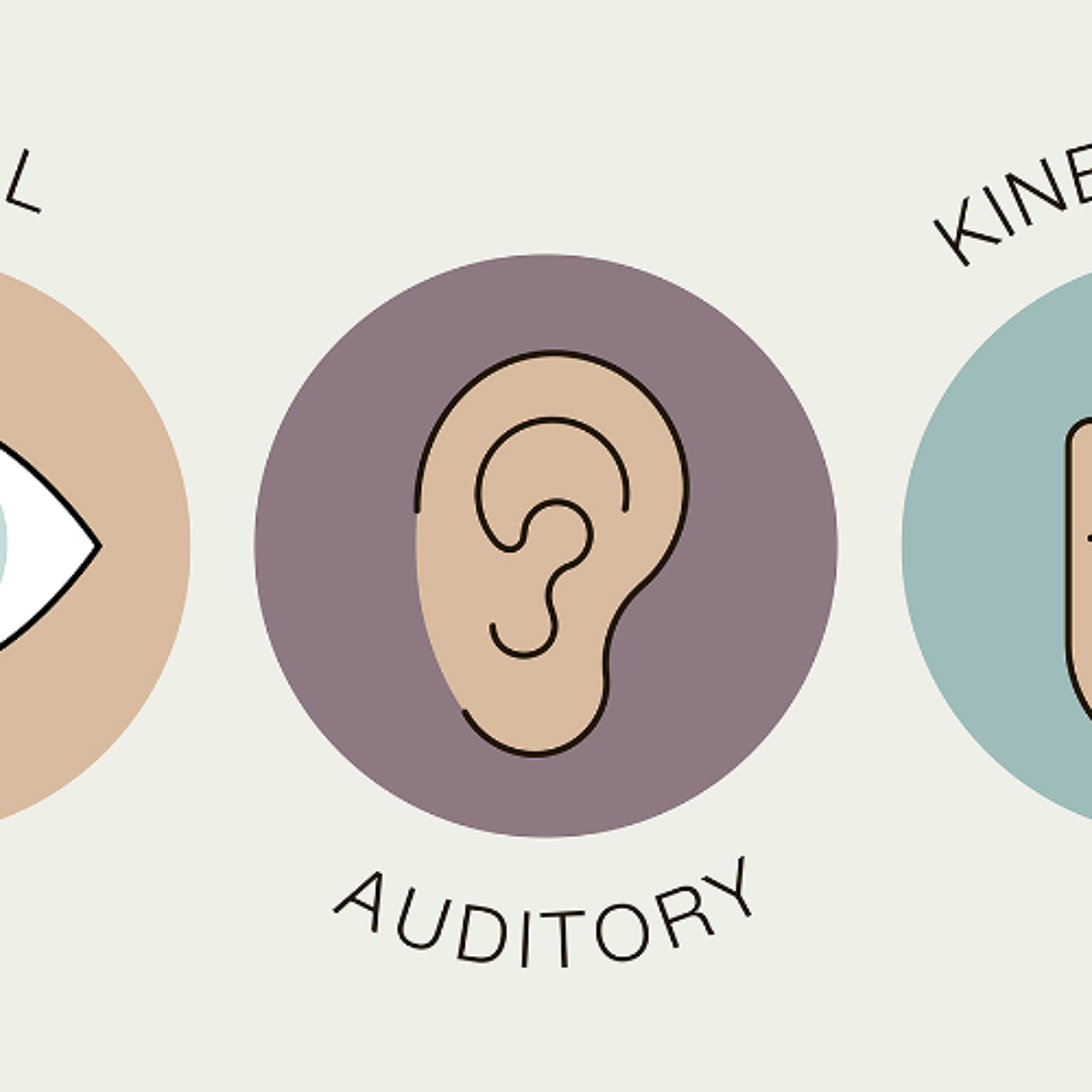 #192 There’s No Such Thing as a Kinesthetic Learner