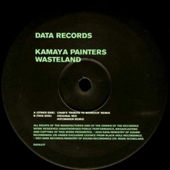 Kamaya Painters - Wasteland (Chab's 'Tribute To Bedrock' Remix) [Data Records]
