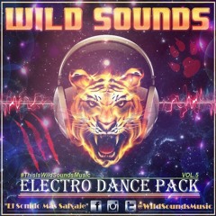 This is WILD SOUNDS MUSIC Vol.5 [ELECTRO DANCE PACK]